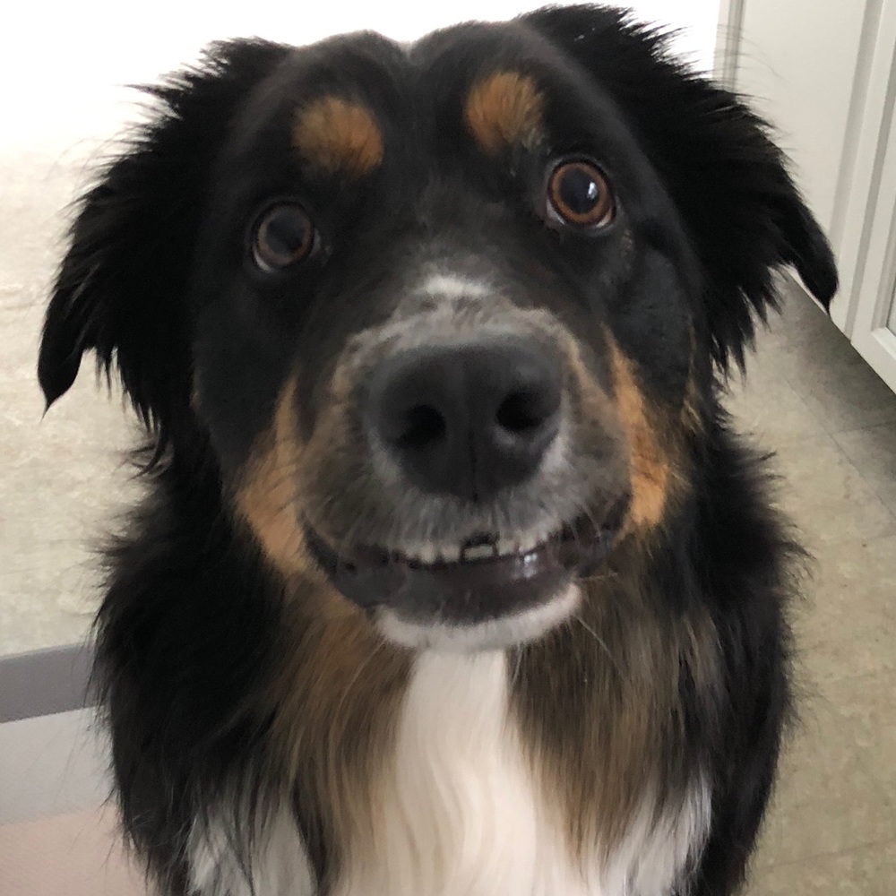 Meet your Posher, Audrey